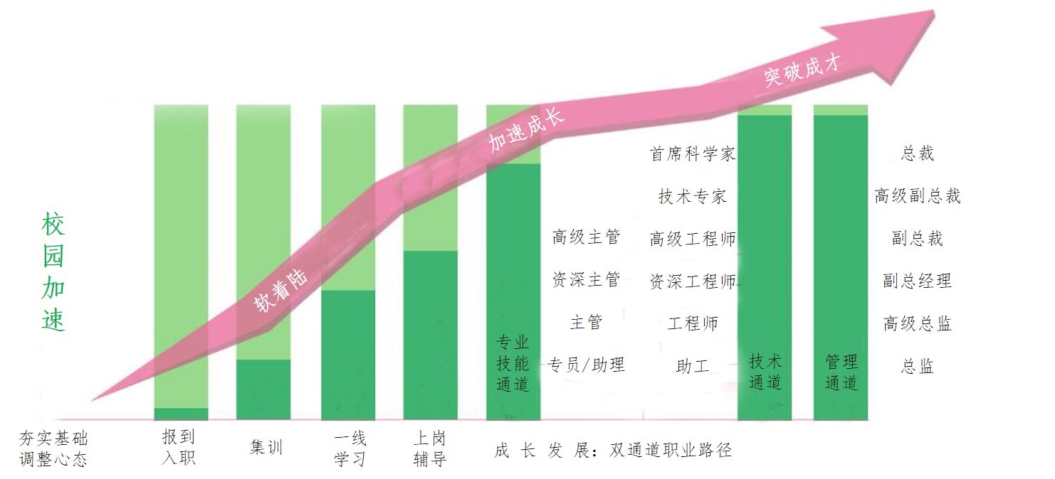 培养.jpg 培养.jpg
